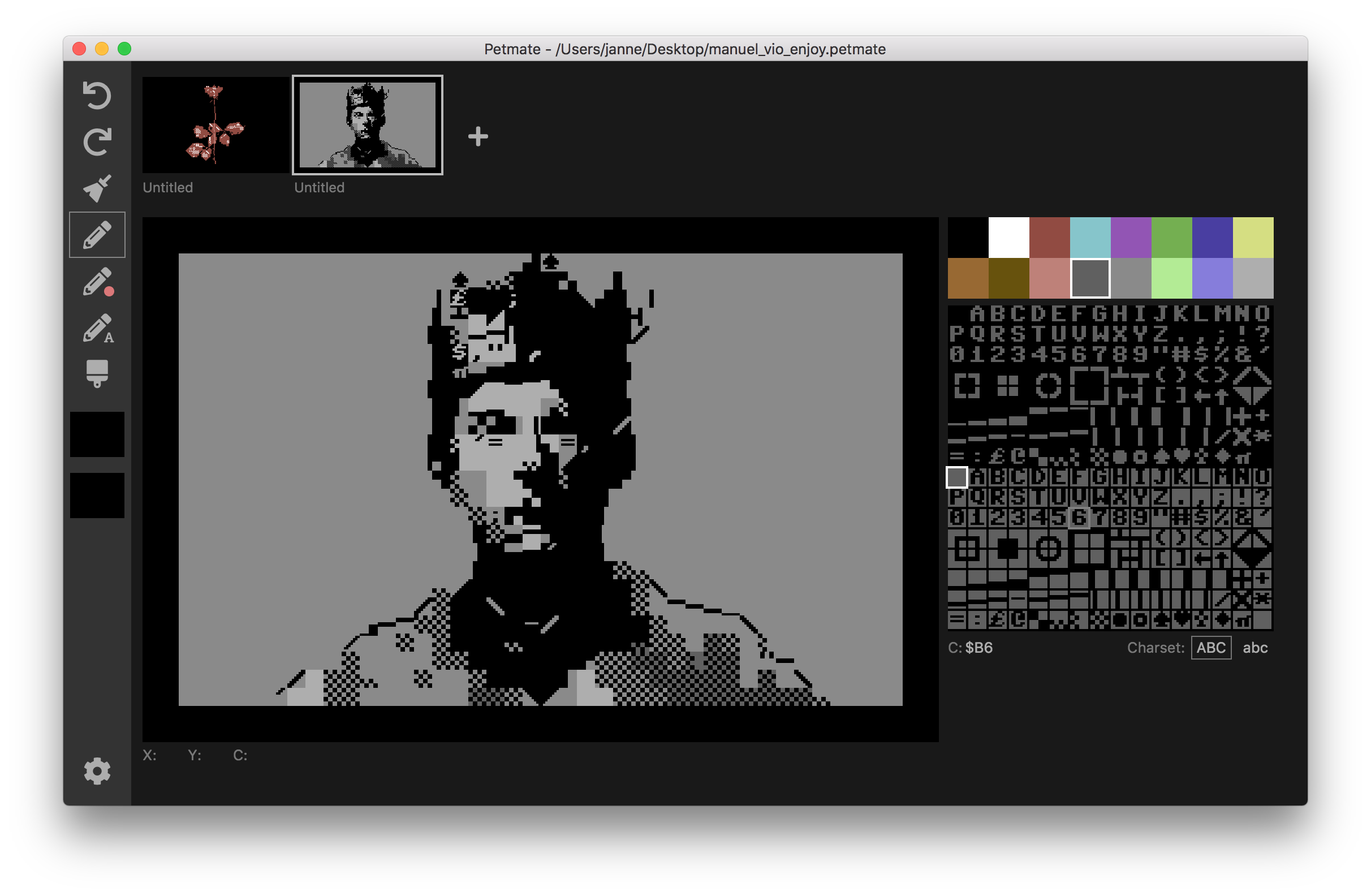 Petmate screenshot w/ PETSCII by Manuel Vio